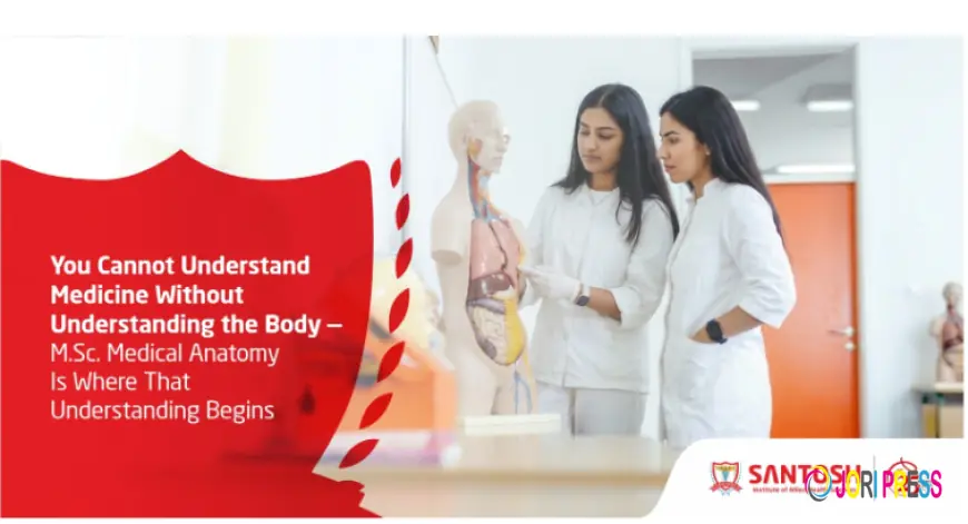 MSc Medical Anatomy Is Where That Understanding Begins