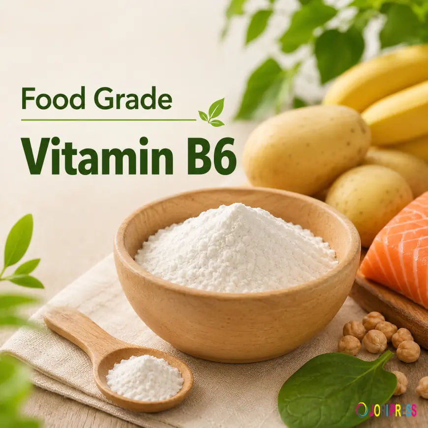 Investment Opportunities in the Food Grade Vitamin B6 Market: 2026-2034
