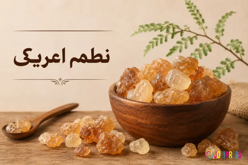 Functional Food Innovations Spark a Surge in Global Gum Arabic Demand Through 2034