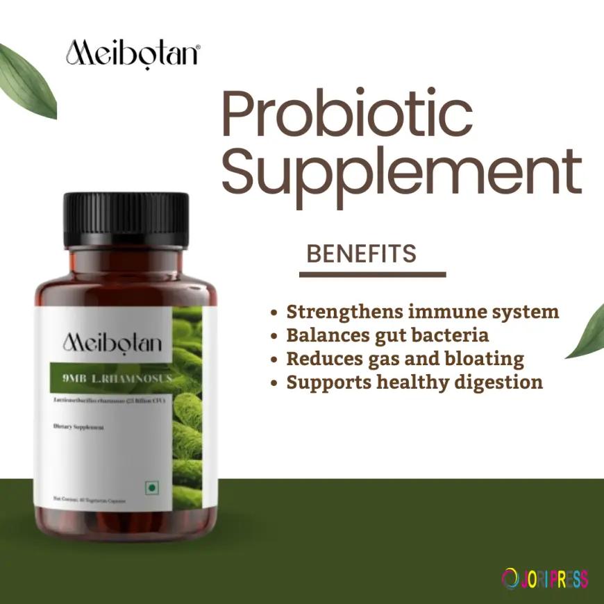 Meibotan Best Supplements for Gut Health – Supporting Digestive Wellness Naturally