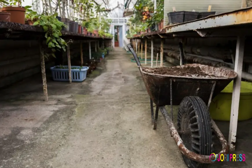 The Rise of Professional Shed Clearance Services in Dublin: What Homeowners Need to Know