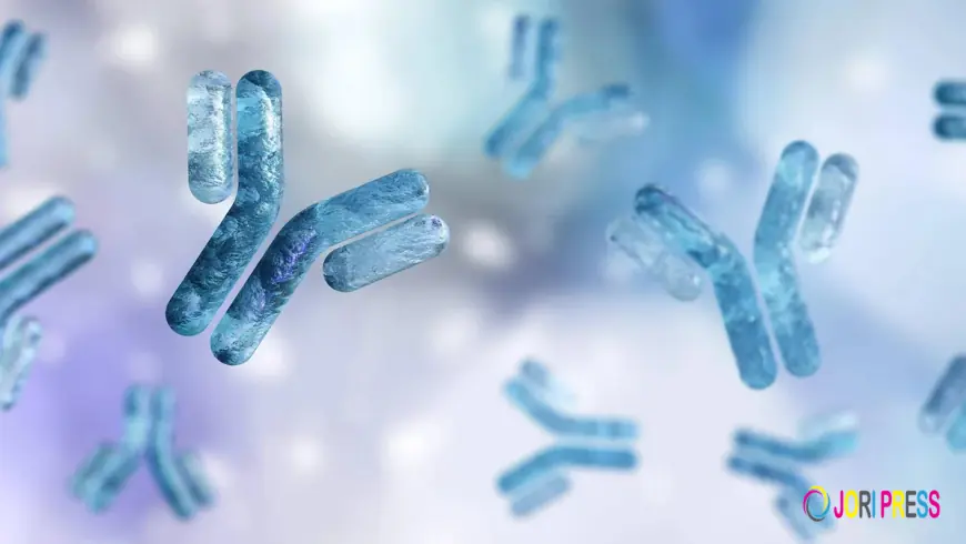 Immunogenicity Assay Role in Pharmacokinetics Assay Studies
