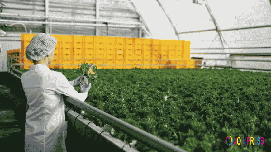 The Role of Logistics in Food Supply Chains Beyond Agricultural Production