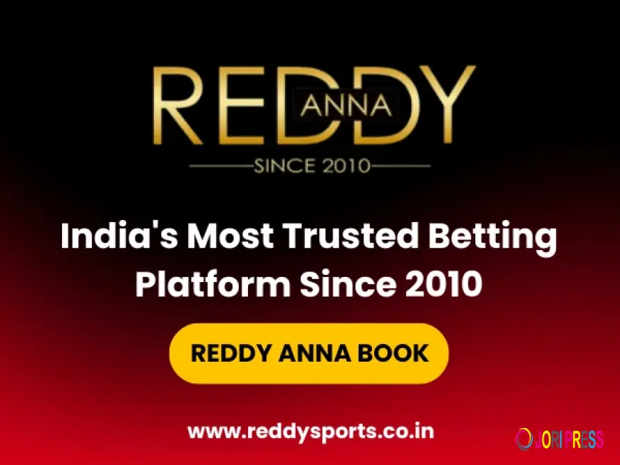 Reddy Anna Club and Modern Online Entertainment Trends