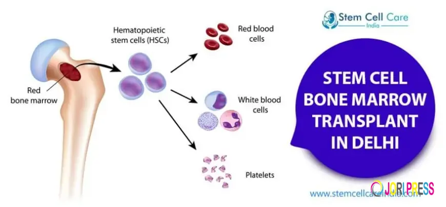 Advanced Stem Cell Therapy Solutions in India for Regenerative Healing