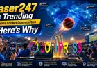 Laser247 Is Trending Across Cricket Communities - Here's Why