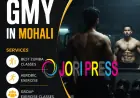 Top Rated Gym in Mohali Elevate Wellness Club Sets New Benchmarks in Fitness Excellence