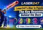 Laser247's Rise to Popularity: The Key Reasons Behind the Buzz