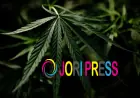 I Thought Cannabis Tinctures Were Overhyped Until I Tried High-THC Tinctures for the First Time