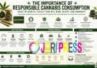 The Importance of Responsible Cannabis Consumption