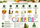 Best CBD Products for Beginners
