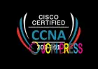 CCNA Training in Pune: Start Your Networking Career