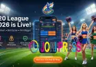 How Professionals Manage Their Bankroll with an Online Cricket ID