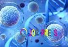 Affordable Stem Cell Therapy in Delhi