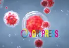 Trusted Stem Cell Consultation in India