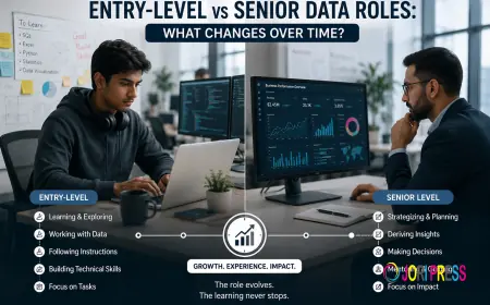 Entry-Level vs Senior Data Roles: What Changes Over Time?