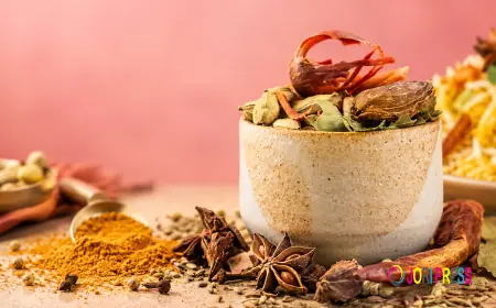 Why Are Biryani Spices Essential for Authentic Flavor?