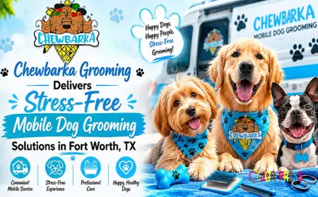 Chewbarka Grooming Delivers Stress-Free Mobile Dog Grooming Solutions in Fort Worth, TX