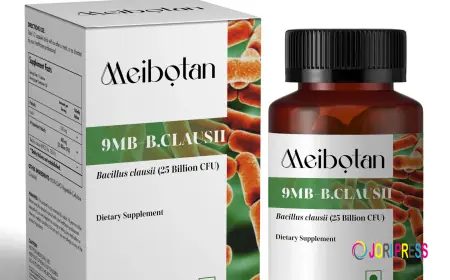 Best Probiotic Medicine for Stomach – Meibotan Introduces Advanced Gut Health Support