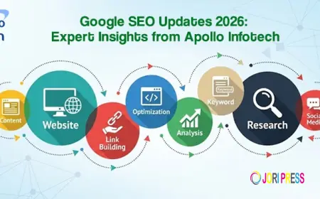 Google SEO Updates 2026: Expert Insights from Apollo Infotech