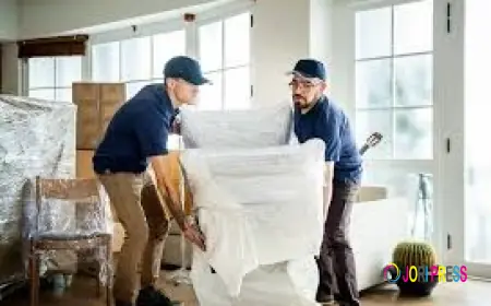 Why Choose Furniture Movers in Sarasota or Condo Movers in Sarasota for a Stress-Free Move?