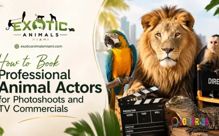 Hiring Animals For Acting In A Production | Professional Animal Actors for Photoshoots - Exotic Animals Miami