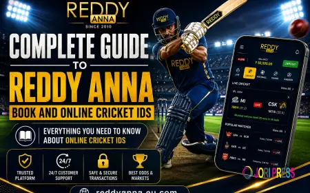 Complete Guide to Reddy Anna Book and Online Cricket IDs