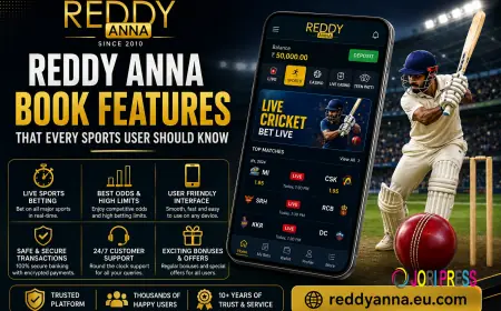 Reddy Anna Book Features That Every Sports User Should Know