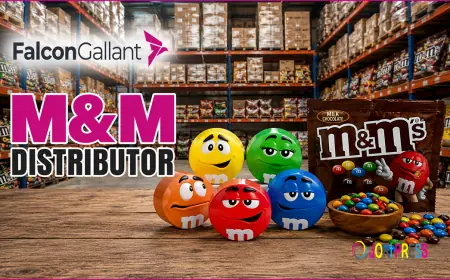 Falcon Gallant strengthens its position as a reliable M&M distributor in Spain