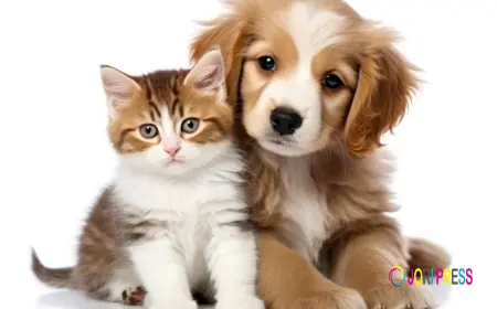 First Vet Opens Doors to Better Pet Care for Families and Their Furry Friends
