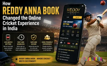 How Reddy Anna Book Changed the Online Cricket Experience in India