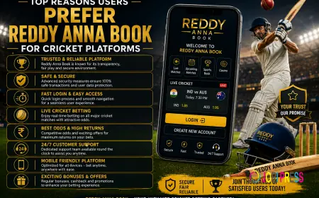 Top Reasons Users Prefer Reddy Anna Book for Cricket Platforms