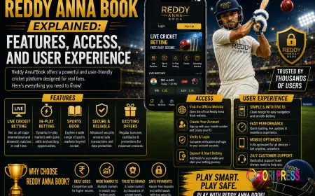 Reddy Anna Book Explained: Features, Access, and User Experience