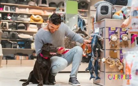 Royal Pet Becomes a Trusted Pet Store Qatar Families Love