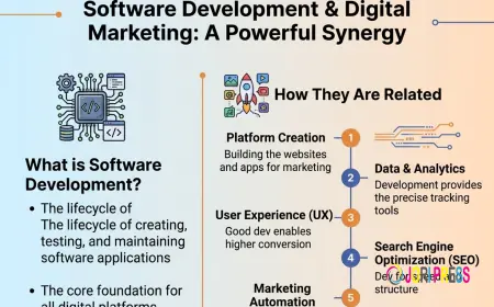 Importance of software development and how it is related to digital marketing