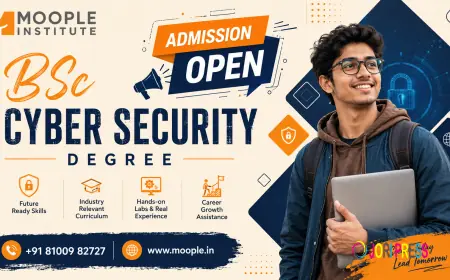 BSc Cyber Security Degree for Future IT Security Experts