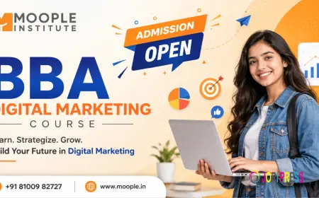 BBA Digital Marketing Course to Build Online Career Skills