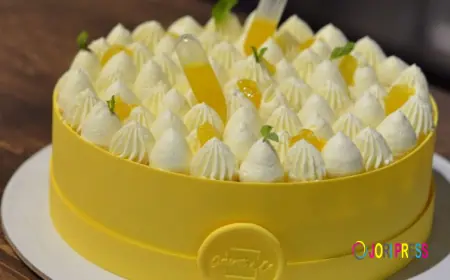 Cakes that balance light texture and rich flavour perfectly
