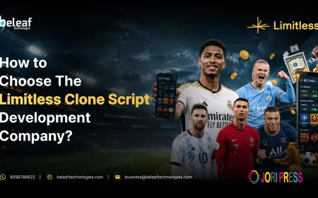 How to Choose the Best Limitless Clone Script Development Company?