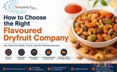 How to Choose the Right Flavoured Dryfruit Company
