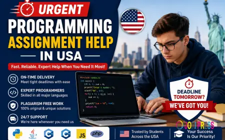 Urgent Programming Assignment Help for Students Facing Complex Coding Tasks