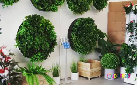 Fake Plants That Homes and Businesses Actually Love in Sydney