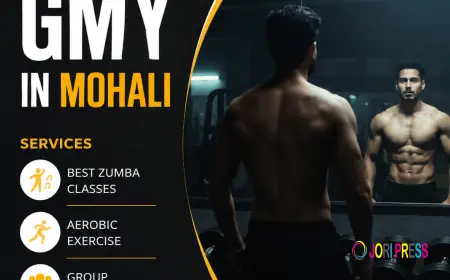 Top Rated Gym in Mohali Elevate Wellness Club Sets New Benchmarks in Fitness Excellence