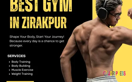 Elevate Wellness Club: Zirakpur's Best Gym Offering Premium Facilities, Expert Trainers & Affordable Membership Plans
