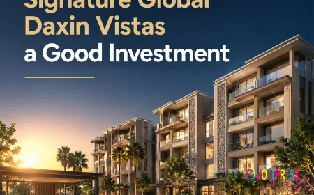 How Does Signature Global Daxin Vistas Compare with Other Low-Rise Floor Projects in Gurgaon?