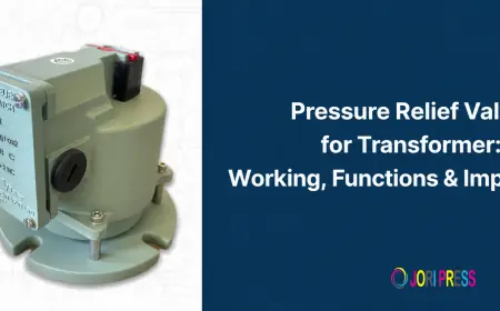 Pressure Relief Valve for Transformer: Working, Functions & Importance