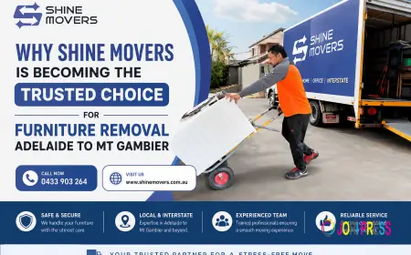 Why Shine Movers Is Becoming the Trusted Choice for Furniture Removal Adelaide to Mt Gambier