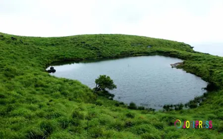 Wayanad tour packages