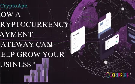 How a Cryptocurrency Payment Gateway Can Help Grow Your Business