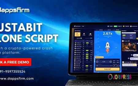 What Makes a High-Quality Bustabit Clone Script? A Buyer's Guide for Entrepreneurs